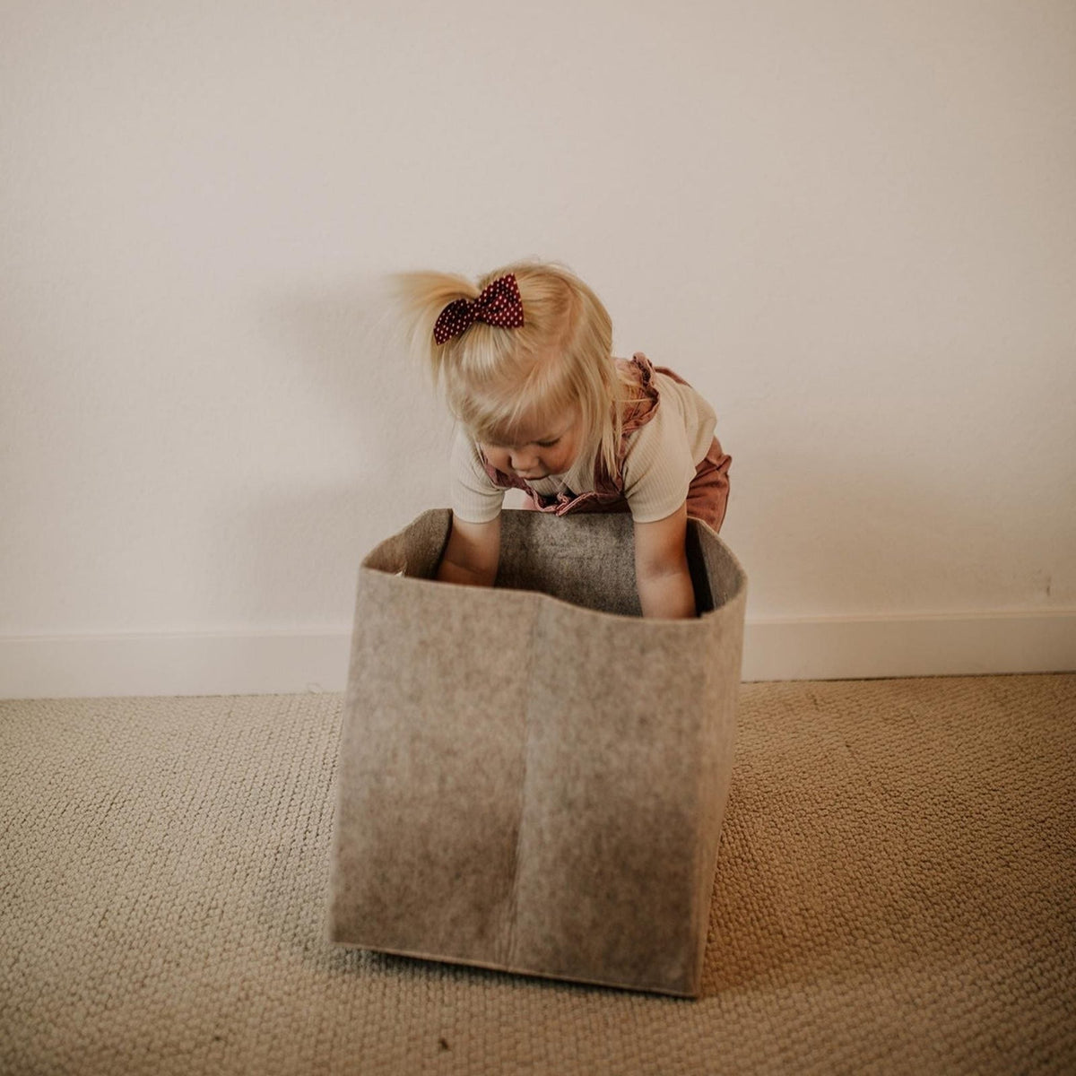 {product_title} | Home Organization & Storage | {shop_name}