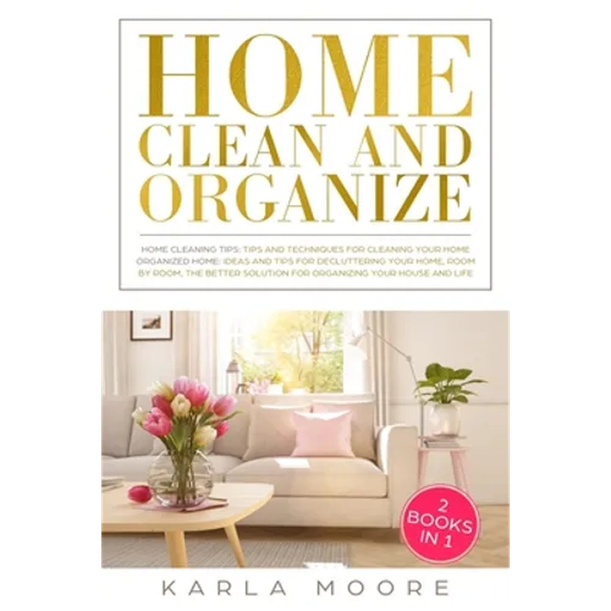 Home Clean & Organize: 2-in-1 Home Guide (Paperback)